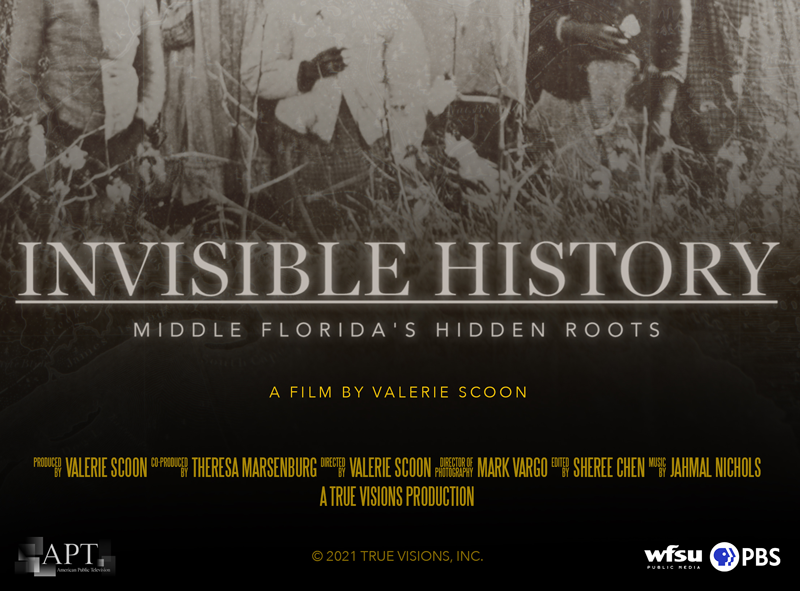 Invisible History